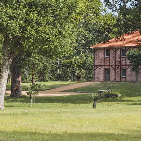 Maison Montaut Onesse-et-Laharie Luaran gambar